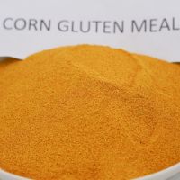 Sell animal feed corn gluten meal powder plant specificatrion