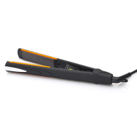 China Professional Manufacture Professional Steam Portable Hair Straightener