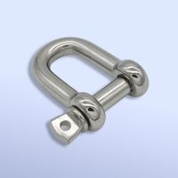 Stainless Steel JIS Type D Shackle From China