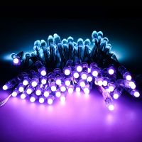 12mm 12v waterproof GS8208 WS2811 UCS1903 pixel Christmas led string light From China
