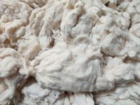 Cotton Comber Noil  Whatsapp +923453534061