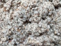 Dropping cotton waste Whatsapp +923453534061