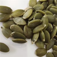 Hot selling pumpkin seeds kernel for human From China
