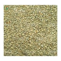 Coffee Beans Arabica Lac Duong Coffee Green Vietnam WA +84855555794