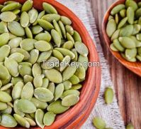 Good Quality Pumpkin Seed Kernel From USA