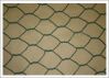 Hexagonal Wire Mesh