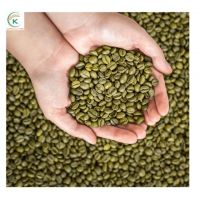 Premium Quality Green Coffee Arabica Dalat Cau Dat