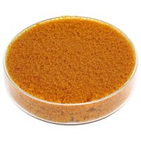 Ion Exchange Resin-Wastewater Treatment-XWT-P710