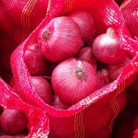 Fresh Red Onion