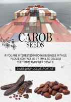 CAROB SEEDS