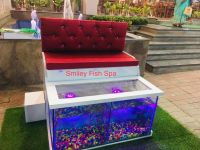 Fish Spa Setup