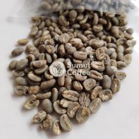 Arabica Gayo Green Coffee Bean
