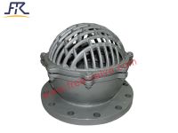 Ductile Iron Foot Valve With Stainless