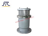 Flange Exhaust Valve Air Release Valve