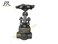 Socket Welding Type Globe Valve