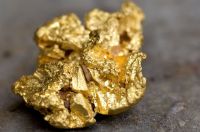 Raw Gold Nuggets and Gold Bars