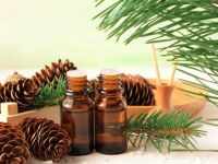 Cedar Nut Oil, Cedarwood Oil, Pine Oil, Pine Nut Oil, Pinewood Oil