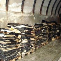 wet salted cow skins for sale