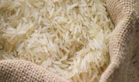 basmati broken rice
