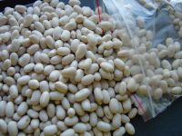 white kidney beans