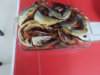 SMOKED, DRY FISH