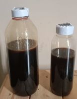 Acacia Honey