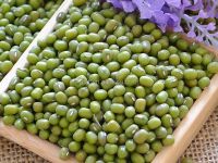Green bean/mung bean for s-p-routing green_mung_beans