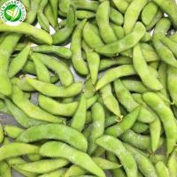 Wholesale high quality IQF frozen green edamame