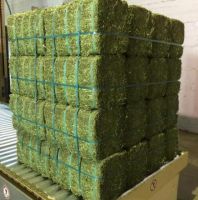 Selling Alfafa Hay,Alfalfa Hay with High Protein for Animal Feeding