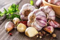 Garlic 