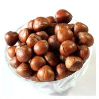 100% Organic Shell Raw Hazelnut / Raw Hazelnut Kernels In Shell From UK