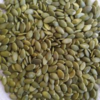 Factory Supply Raw Processing Top Grade Non GMO Hulled Pumpkin Kernels Seeds From UK