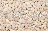 Melon seeds
