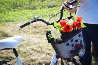 Bicycle bag