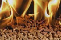 Wood pellets &amp; Charcoal 