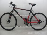 Mountain Bicycle