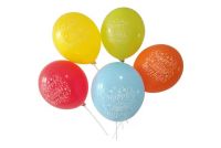 Custom Logo Print Balloon