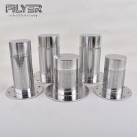 Wedge Wire Resin Trap Filter for Ion Exchange From China