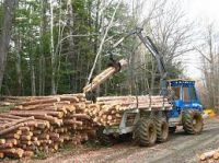 Logs Timber