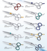 Professional Hair Cutting Scissors