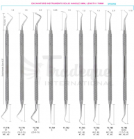 Dental Excavators