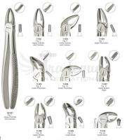 Extracting Forceps (English Pattern