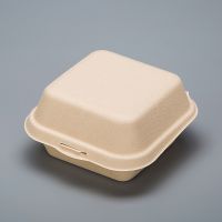 6X6 Customized Biodegradable Sugarcane Bagasse Microwave Paper Bento Takeout Food Container From China
