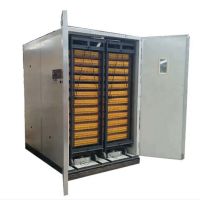 Eggs & Egg Products