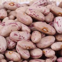 Kidney Beans