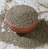Millet