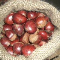 Chestnuts
