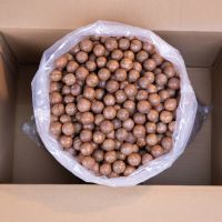 Macadamia Nuts