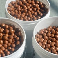 Macadamia Nuts