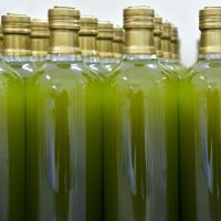 Organic Olive Oil